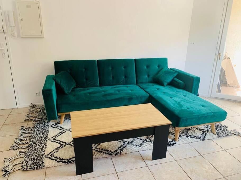Appartement Rangeuil 圖盧茲 外观 照片